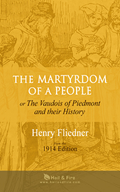 The Martyrdom of a People or The Vaudois of Piedmont and their History by Henry Fliedner (2010 Illustrated Paperback Book)