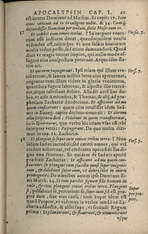 In sacram beati Ioannis Apostoli and Evangelistae Apocalypsin Commentarii by Francisci Riberae, Presbyteri Societatis Iesu, 1602 edition in Latin - read online free