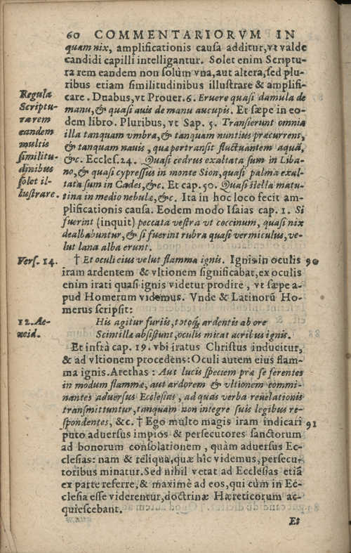In sacram beati Ioannis Apostoli and Evangelistae Apocalypsin Commentarii by Francisci Riberae, Presbyteri Societatis Iesu, 1602 edition in Latin - read online free