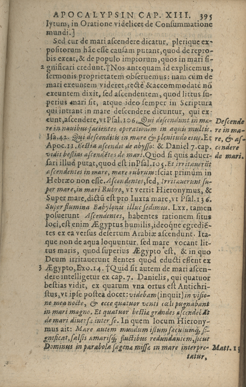 In sacram beati Ioannis Apostoli and Evangelistae Apocalypsin Commentarii by Francisci Riberae, Presbyteri Societatis Iesu, 1602 edition in Latin - read online free