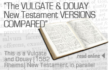 The Latin Vulgate and Dopuay (1582 Rheims) New Testaments Compared - published in parallel formate for comparison.